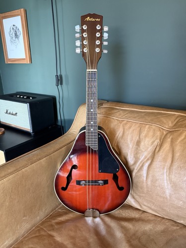 Mandolino antares corde - mandolino,