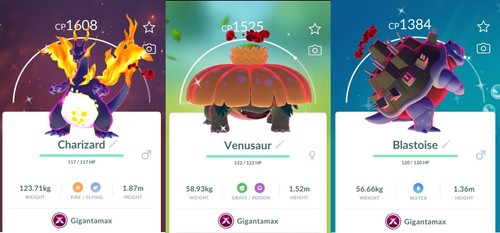 Shiny gigantamax - shiny,