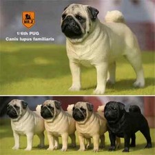 Jxk carlino cane animale - carlino,