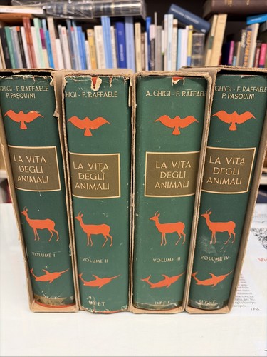 Vita degli animali 4 - vita, n°