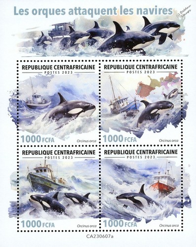 Orcas attack boats killer - orcas,