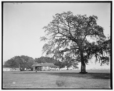 Mobile Country Club, strutture