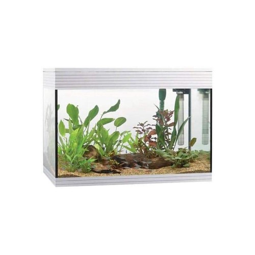 Askoll pure led - pure, in