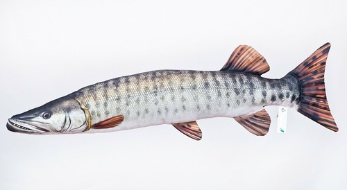 Cuscino forma pesce - cuscino, di