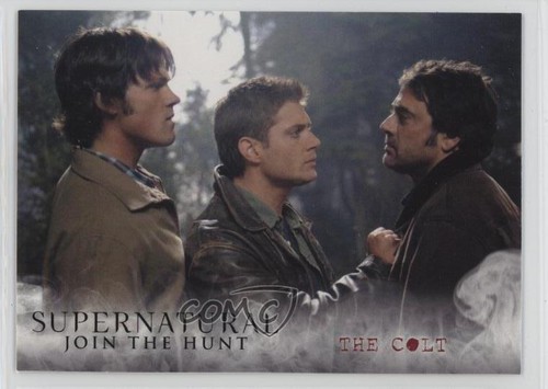 2014 cryptozoic supernatural - 2014,