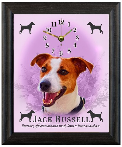 Jack russell terrier - jack, gift