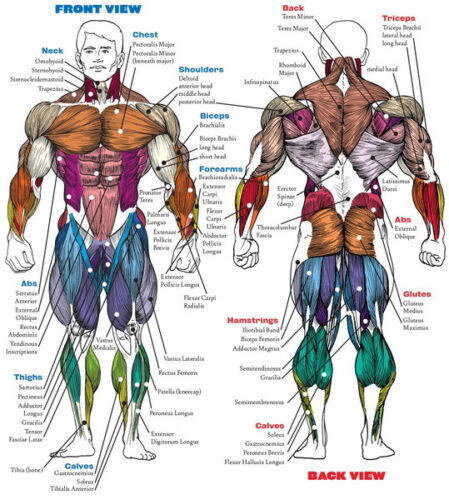Poster stampa 61027 - , sistema