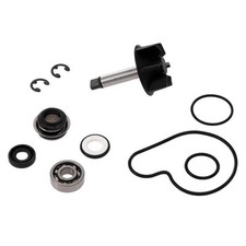 Kit revisione pompa acqua