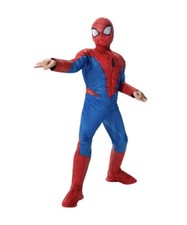 Spider-Man Youth Costume with