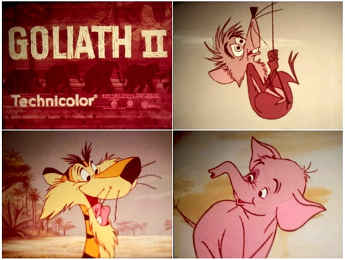 16mm sound film - 16mm, walt