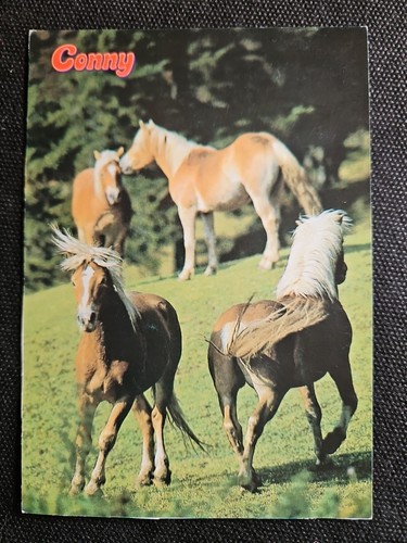 Cartolina cavalli - cavalli,,