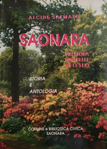 Salmanso alcide saonara - salmanso,