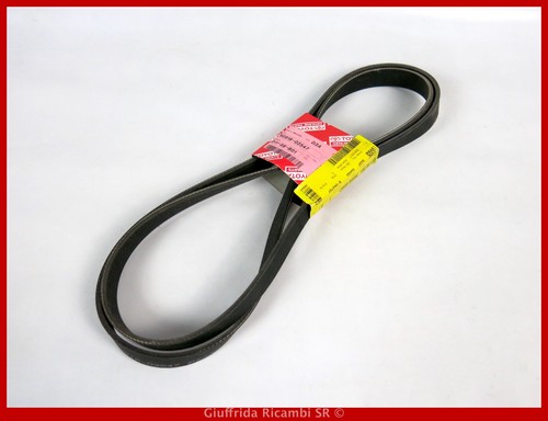 Cinghia servizi poly toyota - cinghia,