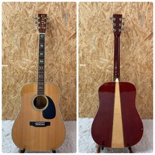 Chitarra acustica CANYON W-70