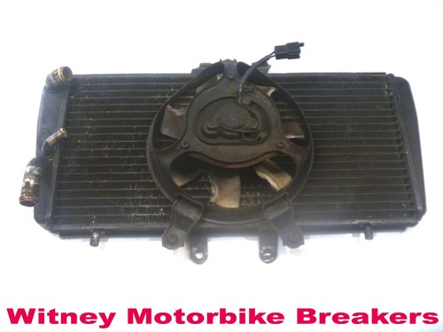 Triumph daytona 595 955 - daytona,