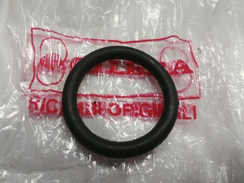 Anello ritegno serbatoio - , nuovo