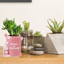  Vasi Ceramica Per Piante Da