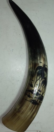 Antico corno bovino autentico - antico,