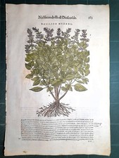 MATTIOLI MATTHIOLI Erbario a