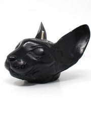 Sphynx Testa di Gatto Nera