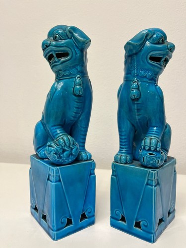 Coppia cani foo turchesi - coppia,
