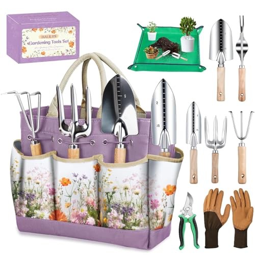 Halilus pezzi set di - halilus,