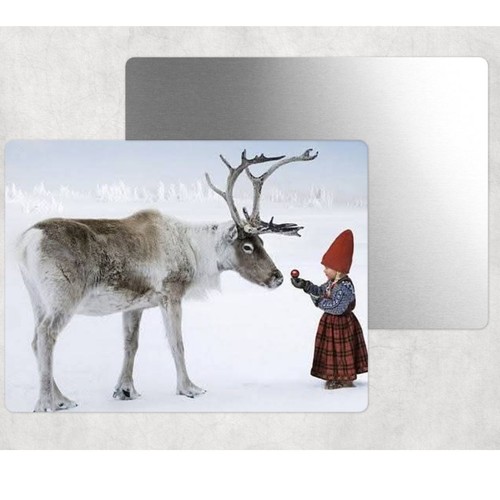 Renna natalizia neve insegna - neve,