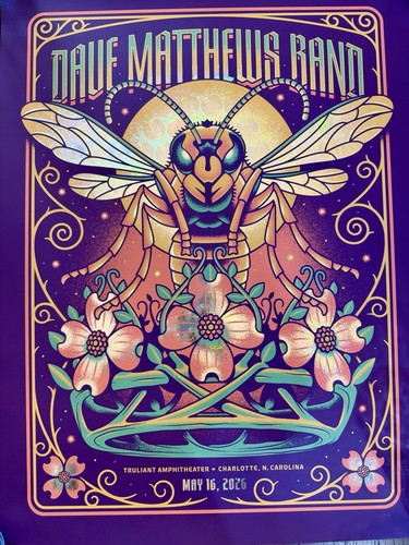 Poster dave matthews band foil - dave,