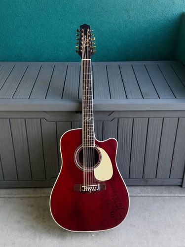 Chitarra takamine corde - jj,