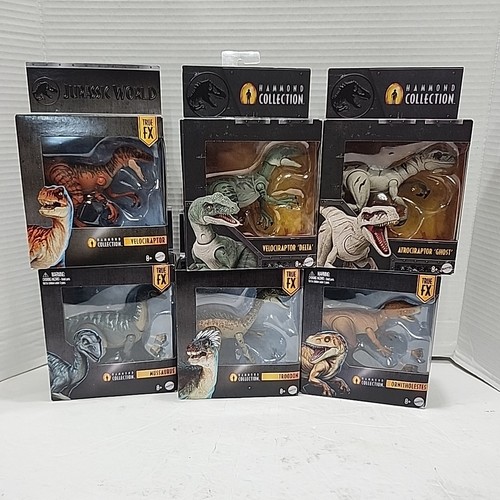 Collezione hammond lotto - collezione,