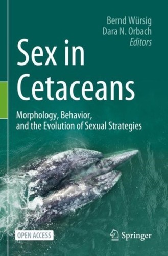 Wrsig sex in cetaceans - sex,