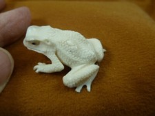 FROG-W23) little Frog shed