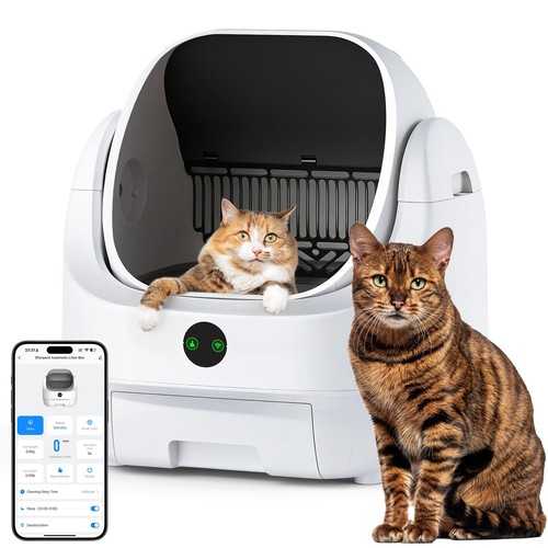 Lettiera gatto autopulente - gatto,