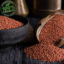 Farina Finger Millet/Ragi/Kurakkan/Eleusine Korakana biologica pura fresca Sri Lanka