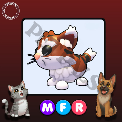 Mfr gatto munchkin - munchkin, acquista