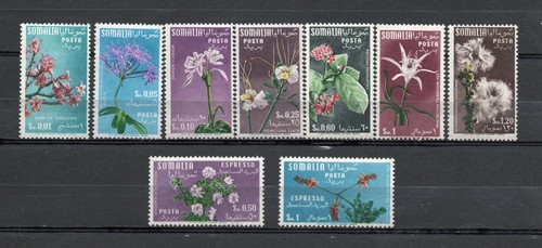 Somalia afis 1955 - somalia, fiori
