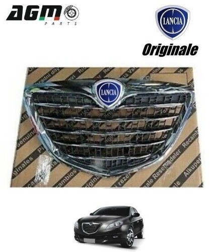 Griglia radiatore logo - radiatore, +