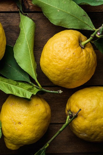 Albero limone pane pianta - limone,