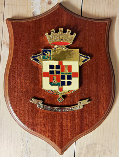 Scudo crest legno metallo - scudo,