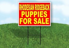 Rhodesian Ridgeback PUPPIES