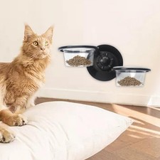 Mangiatoia per rettili