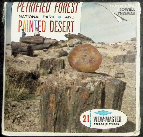 Foresta pietrificata deserto - pietrificata, e