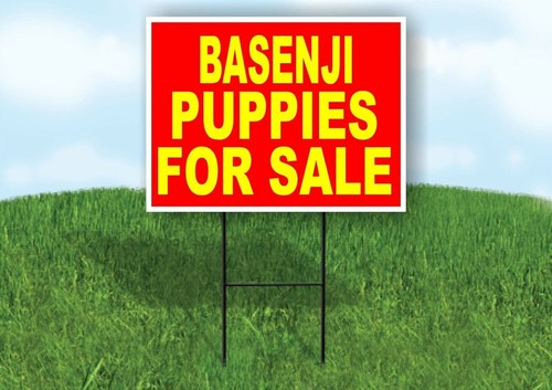 Basenji cuccioli vendita - cuccioli,