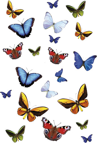 Farfalle decorazioni - -, farfalle,