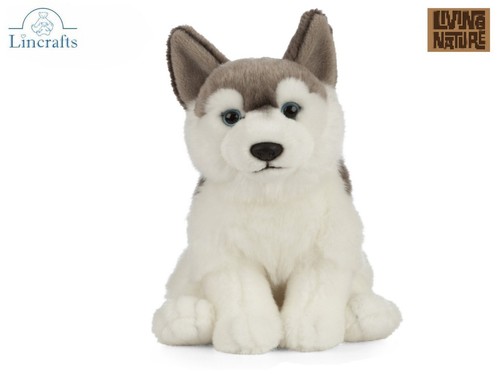 Peluche cucciolo husky - , seduto