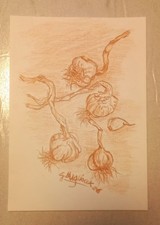 Sanguigna matita su cartoncino