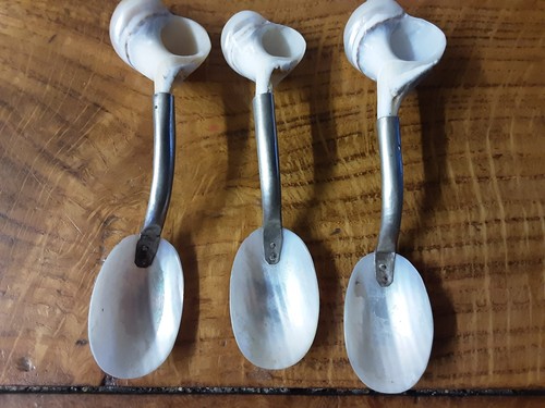 Antique mother pearl - antique,