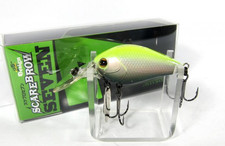 Imakatsu IK Scare Brow 7 esca