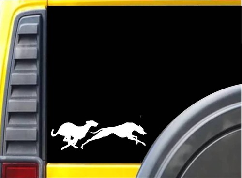 Adesivo racing greyhound - racing, k228