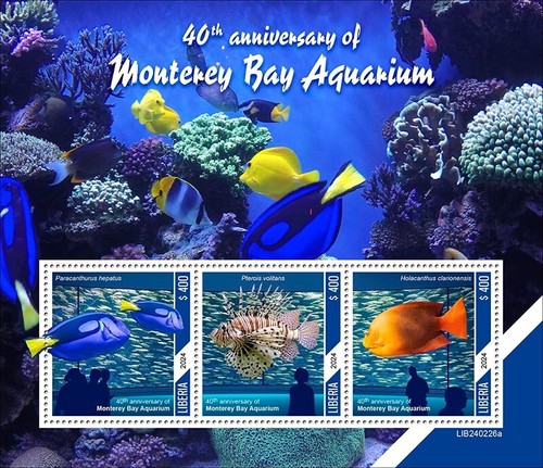 2025 liberia acquario - 2025,